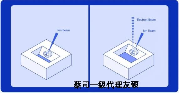 奉贤扫描电子显微镜